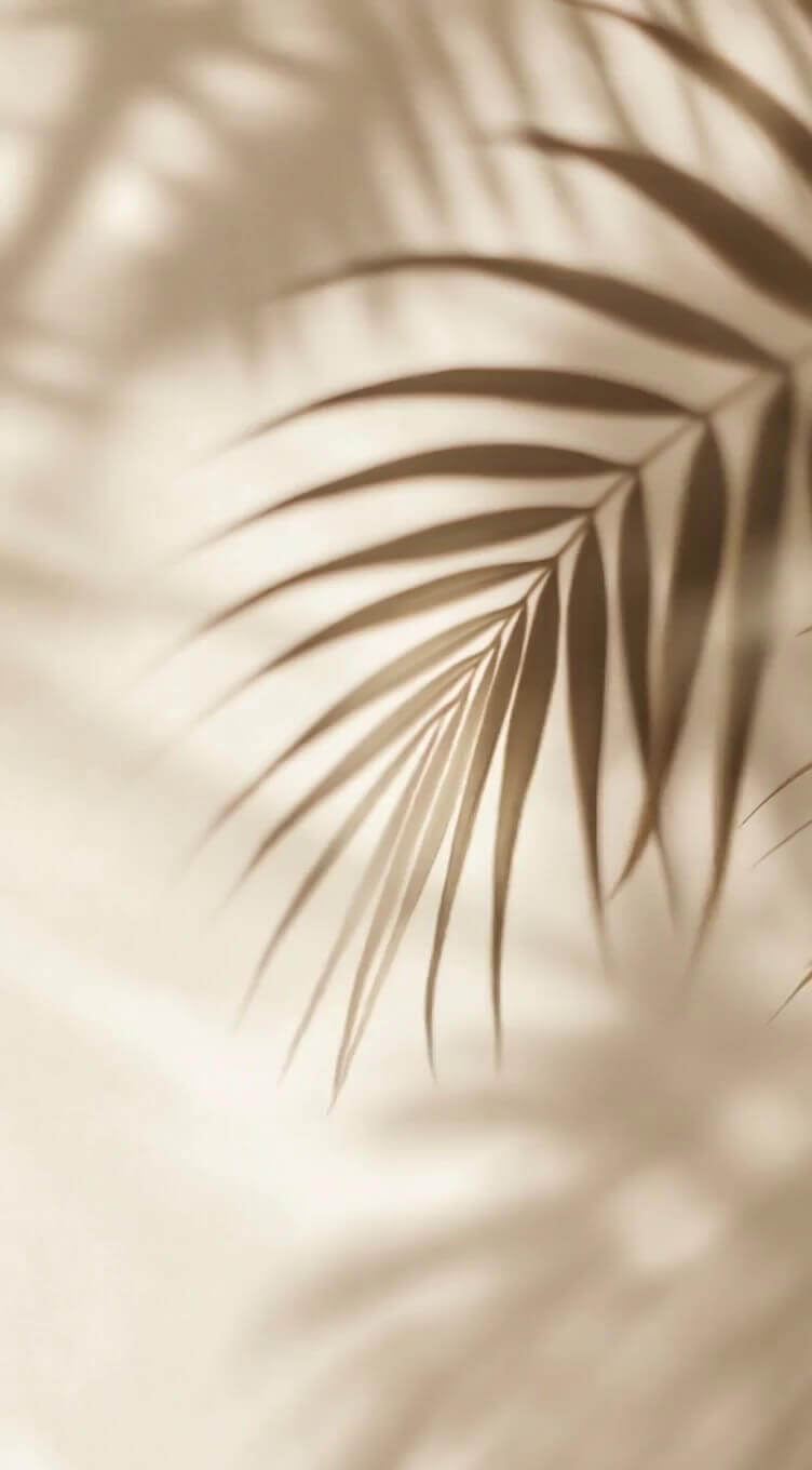 פסק זמן מושלם