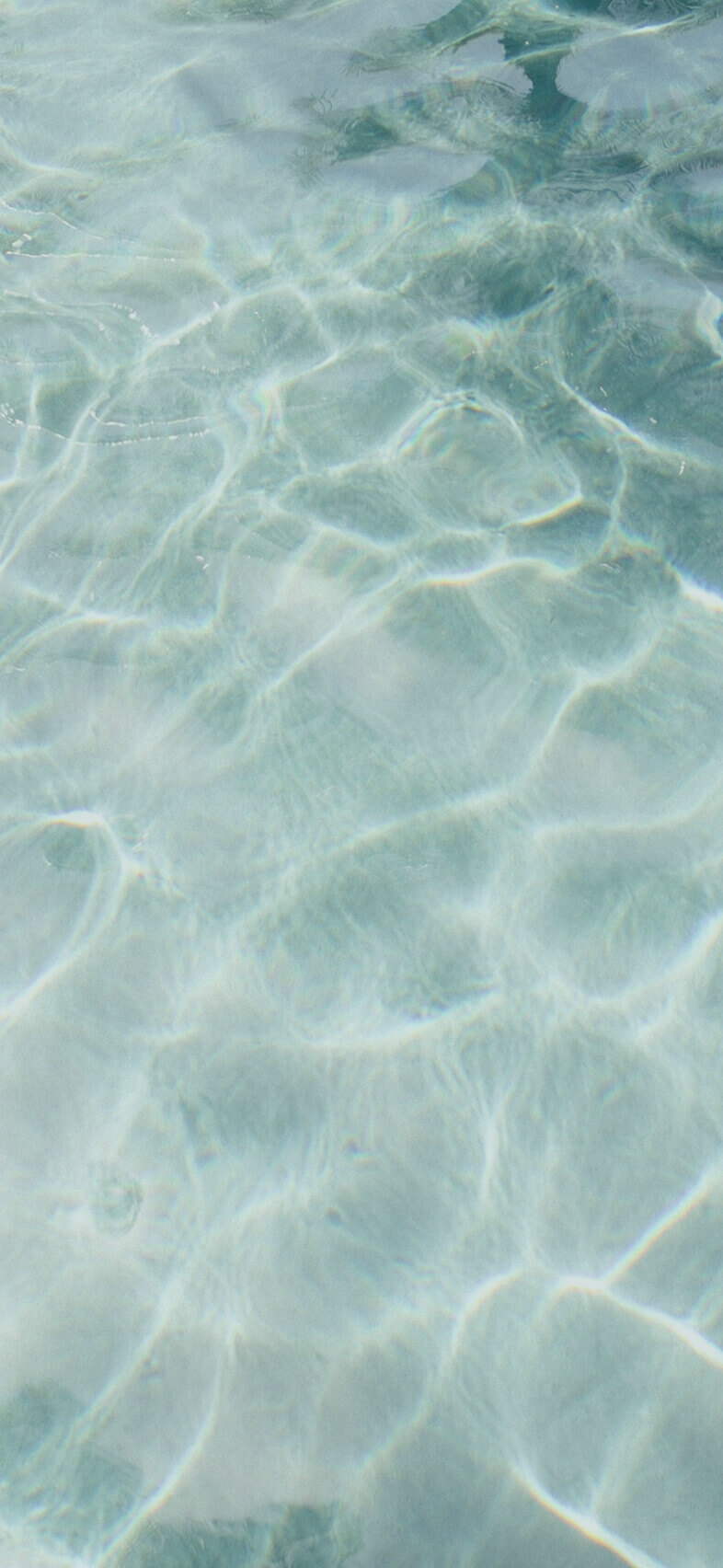 שביל ההחלמה